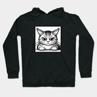Angry cat in pixel art Hoodie